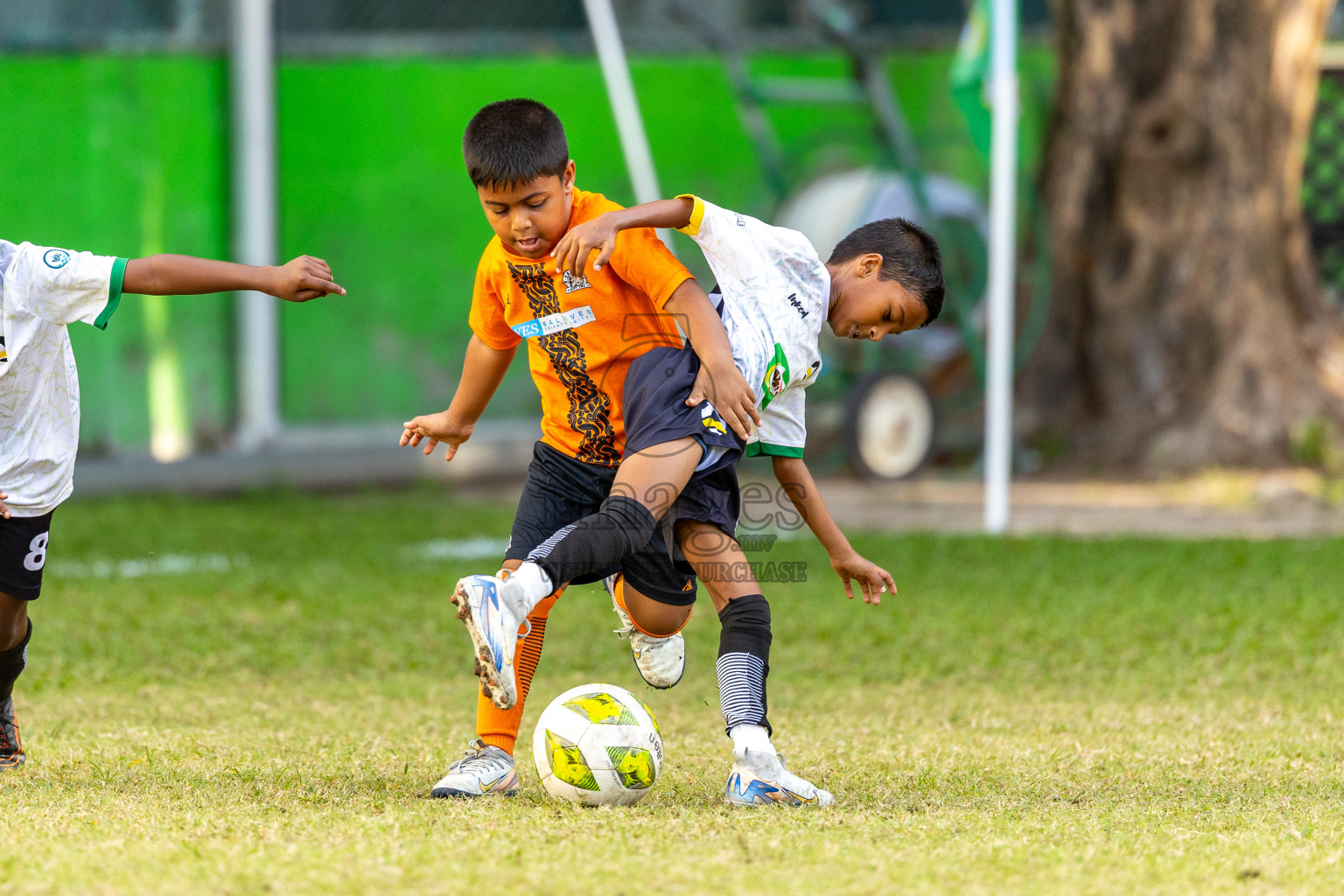 Day 3 of MILO SVAM Juniors 2025 (U-8) was held at Henveiru Stadium in Male', Maldives on Saturday, 28th June 2025. Photos: Mohamed Mahfooz Moosa / images.mv