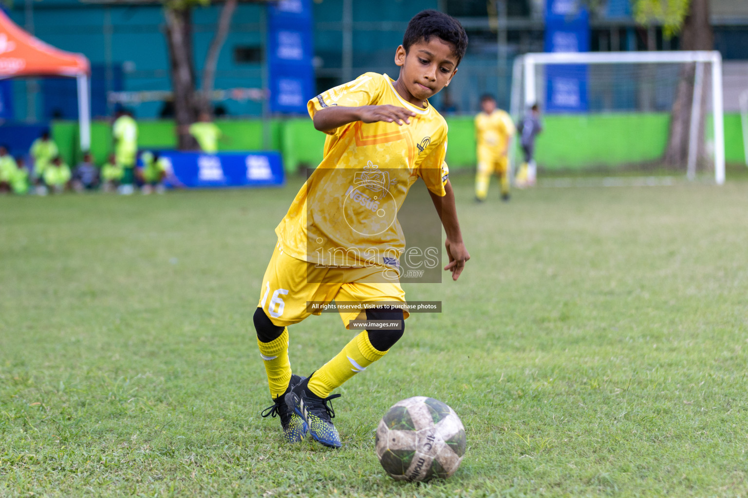 Day 3 of Nestle Kids Football Fiesta, held in Henveyru Football Stadium, Male', Maldives on Friday, 13th October 2023 Photos: Hassan Simah, Ismail Thoriq, Mohamed Mahfooz Moosa, Nausham Waheed / images.mv