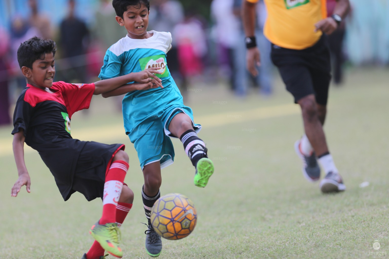 Day 3 of Milo Kids Football Fiesta in Male', Maldives, Friday, February 17, 2017.(Images.mv Photo/ Hussain Sinan).