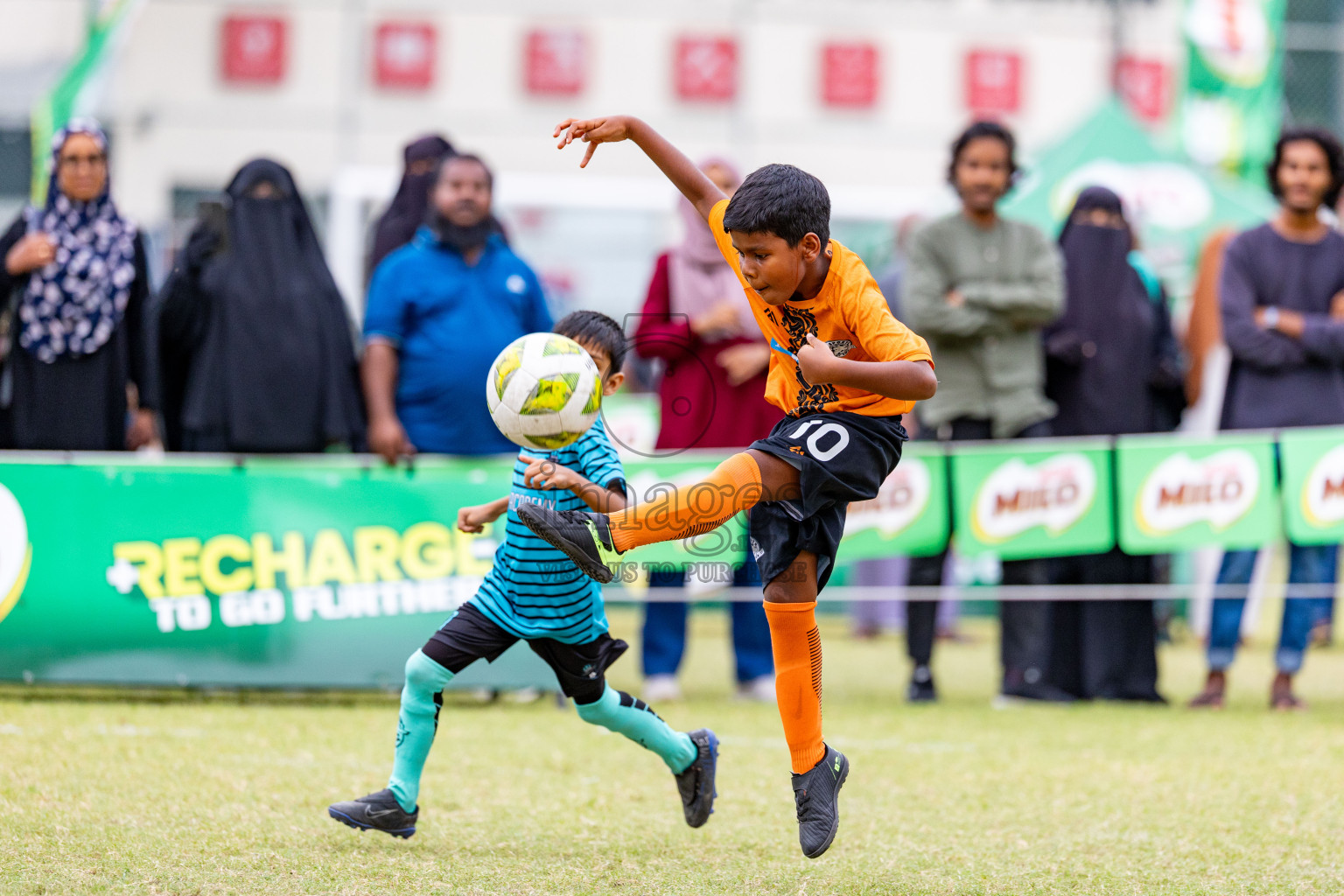 Day 1 of MILO SVAM Juniors 2025 (U-8) was held at Henveiru Stadium in Male', Maldives on Thursday, 26th June 2025. 
Photos: Hassan Simah / images.mv