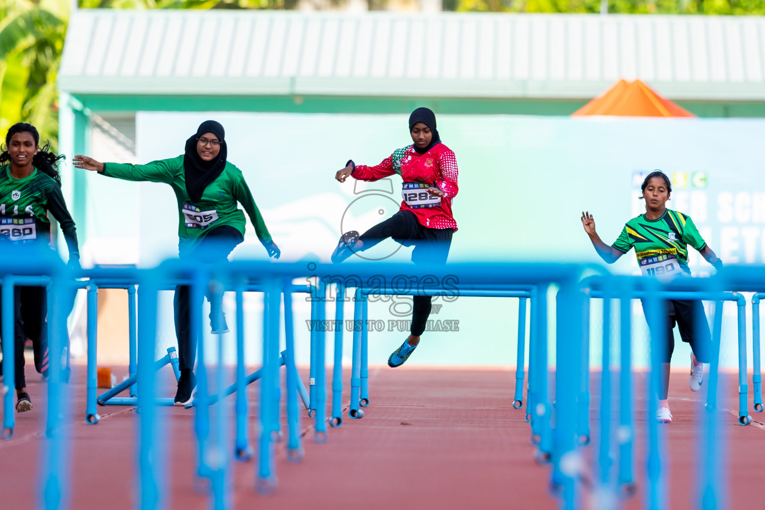 Day 4 of MWSC Interschool Athletics Championships 2024 held in Hulhumale Running Track, Hulhumale, Maldives on Tuesday, 12th November 2024. Photos by: Nausham Waheed / Images.mv