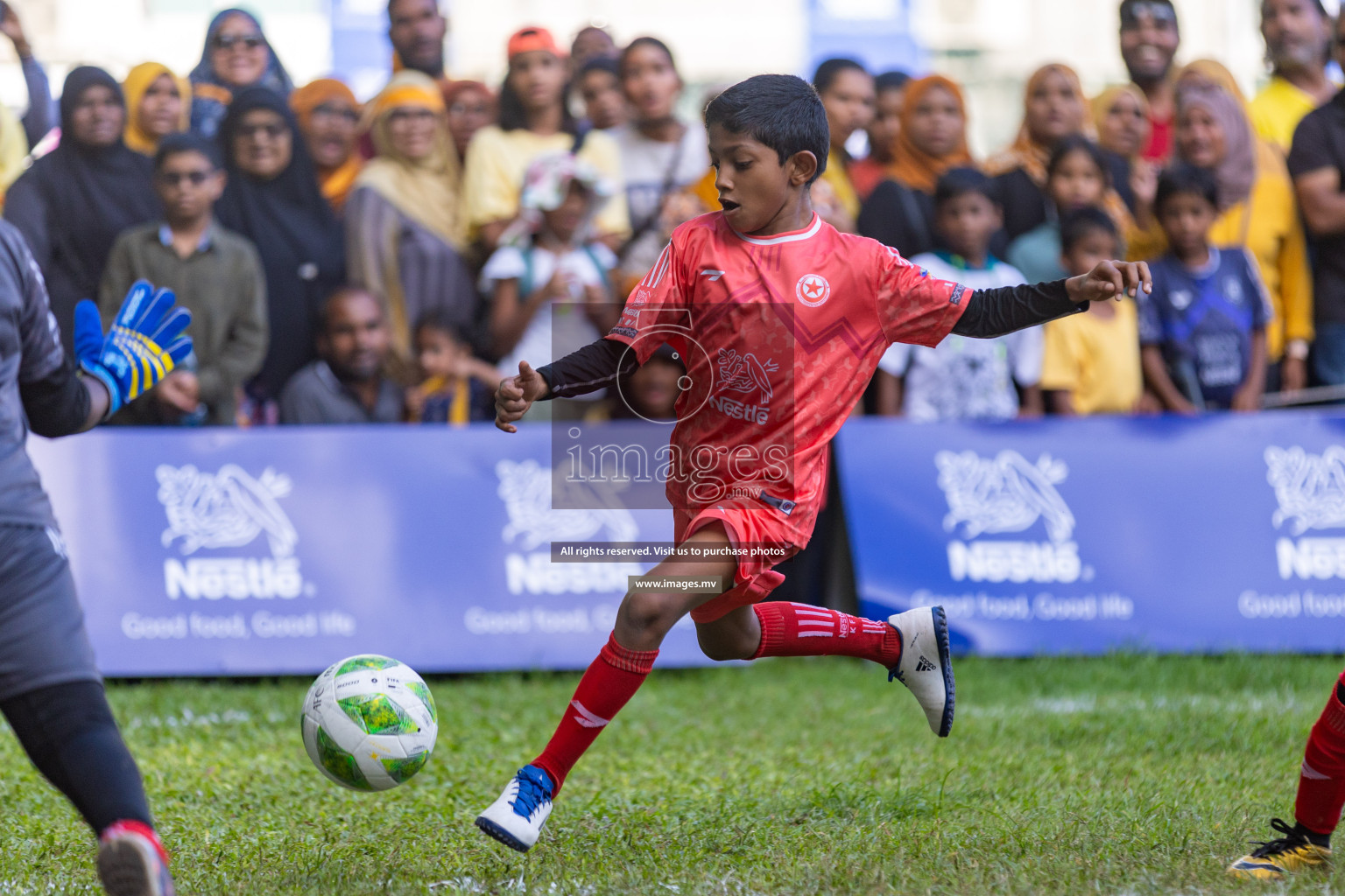 Nestle Kids Football Fiesta 2023 - Day 4
Day 4 of Nestle Kids Football Fiesta, held in Henveyru Football Stadium, Male', Maldives on Saturday, 14th October 2023 Photos: Nausham Waheed / images.mv