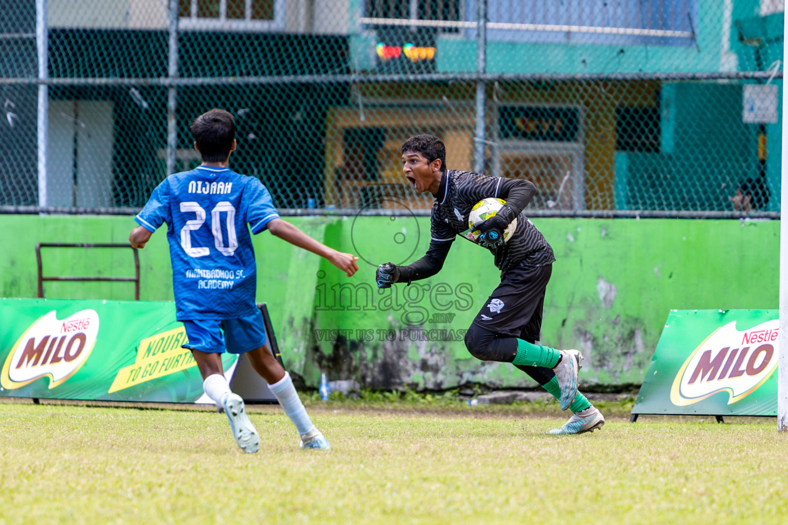 Day 3 of MILO Academy Championship 2024 (U-14) was held in Henveyru Stadium, Male', Maldives on Saturday, 2nd November 2024.
Photos: Hassan Simah / Images.mv