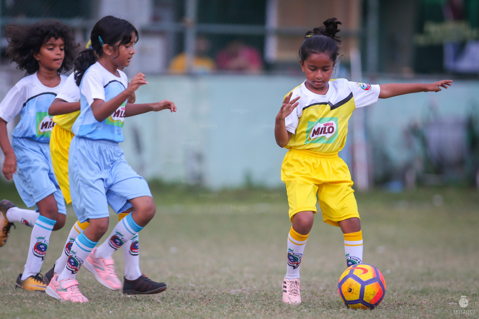 Day 1 of Milo Kids Football Fiesta in Henveiru Grounds in Male', Maldives, Wednesday, Fe20uary 19th 2019 (Images.mv Photo/Ismail Thoriq)