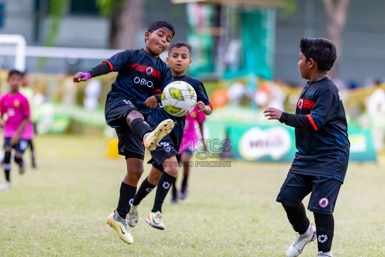 Day 2 of MILO SVAM Juniors 2025 (U-8) was held at Henveiru Stadium in Male', Maldives on Friday, 27th June 2025. 

Photos: Hassan Simah / images.mv