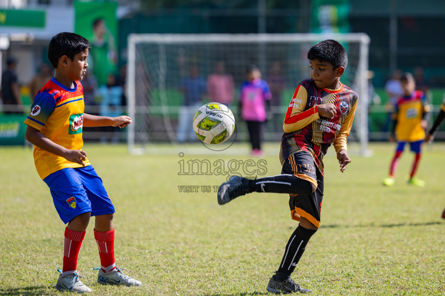 Day 2 of MILO Academy Championship 2025 was held on Friday, 14th February 2025 in Henveiru Stadium. 
Photos: Hassan Simah / Images.mv