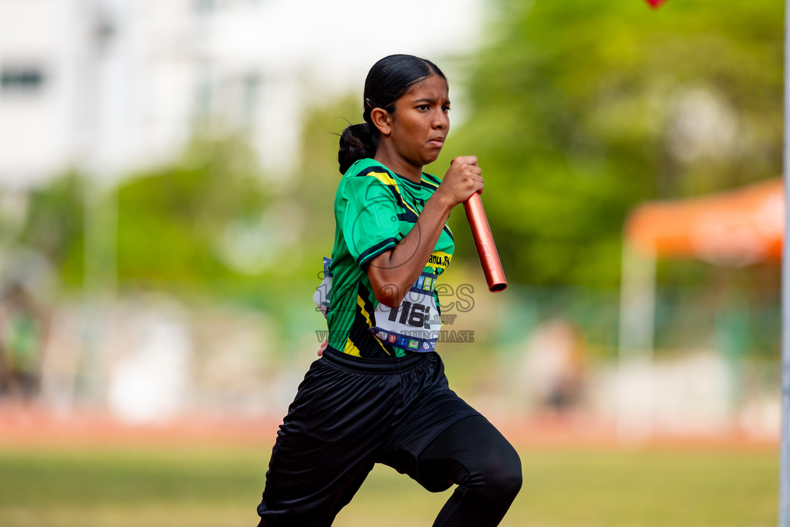 Day 6 of MWSC Interschool Athletics Championships 2024 held in Hulhumale Running Track, Hulhumale, Maldives on Thursday, 14th November 2024. Photos by: Nausham Waheed / Images.mv