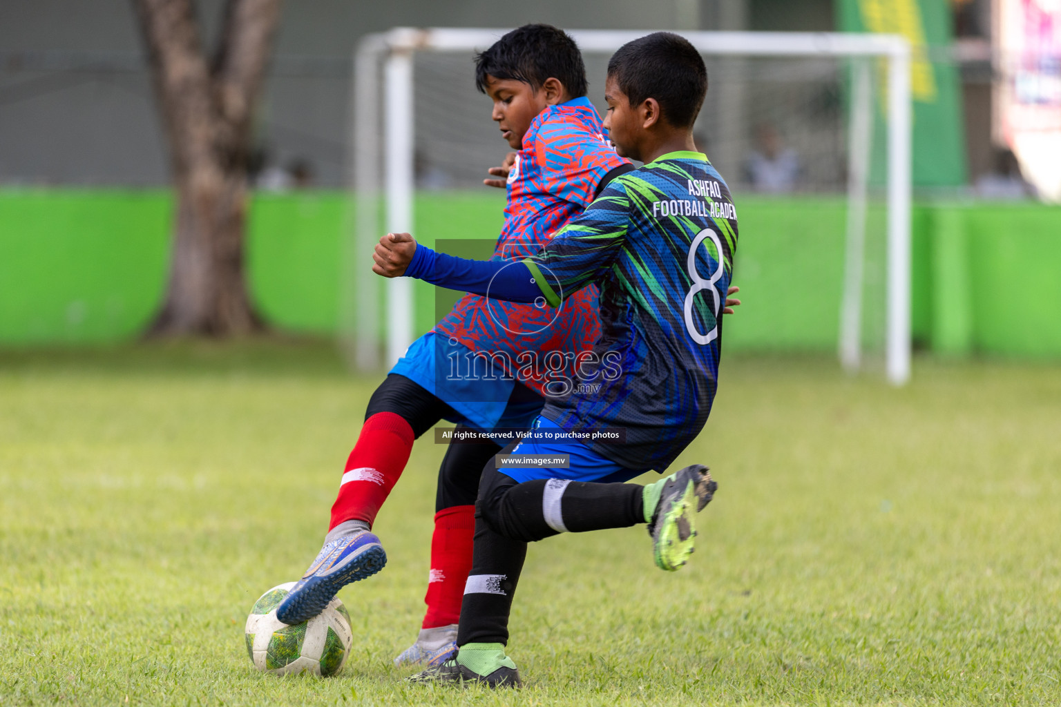 Day 1 of MILO Academy Championship 2023 (U12) was held in Henveiru Football Grounds, Male', Maldives, on Friday, 18th August 2023. Photos: Mohamed Mahfooz Moosa / images.mv