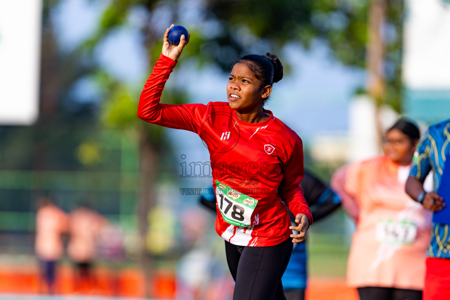 Day 2 of MILO Athletics Association Championship was held on Wednesday, 6th May 2024 in Male', Maldives. Photos: Nausham Waheed