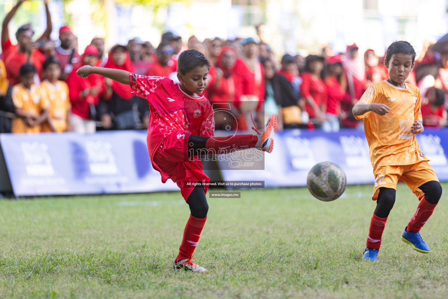 Nestle Kids Football Fiesta 2023 - Day 4
Day 4 of Nestle Kids Football Fiesta, held in Henveyru Football Stadium, Male', Maldives on Saturday, 14th October 2023 Photos: Nausham Waheed / images.mv