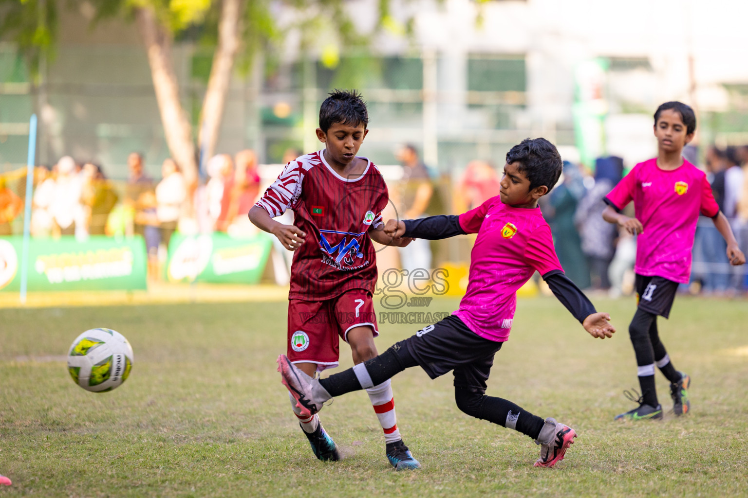 Day 2 of MILO Academy Championship 2025 was held on Friday, 14th February 2025 in Henveiru Stadium. 
Photos: Hassan Simah / Images.mv