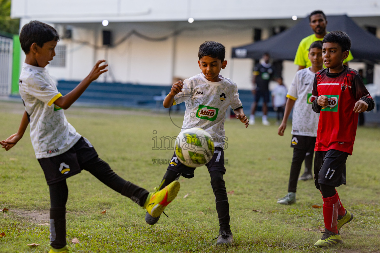Day 2 of MILO Academy Championship 2025 was held on Friday, 14th February 2025 in Henveiru Stadium. 
Photos: Hassan Simah / Images.mv