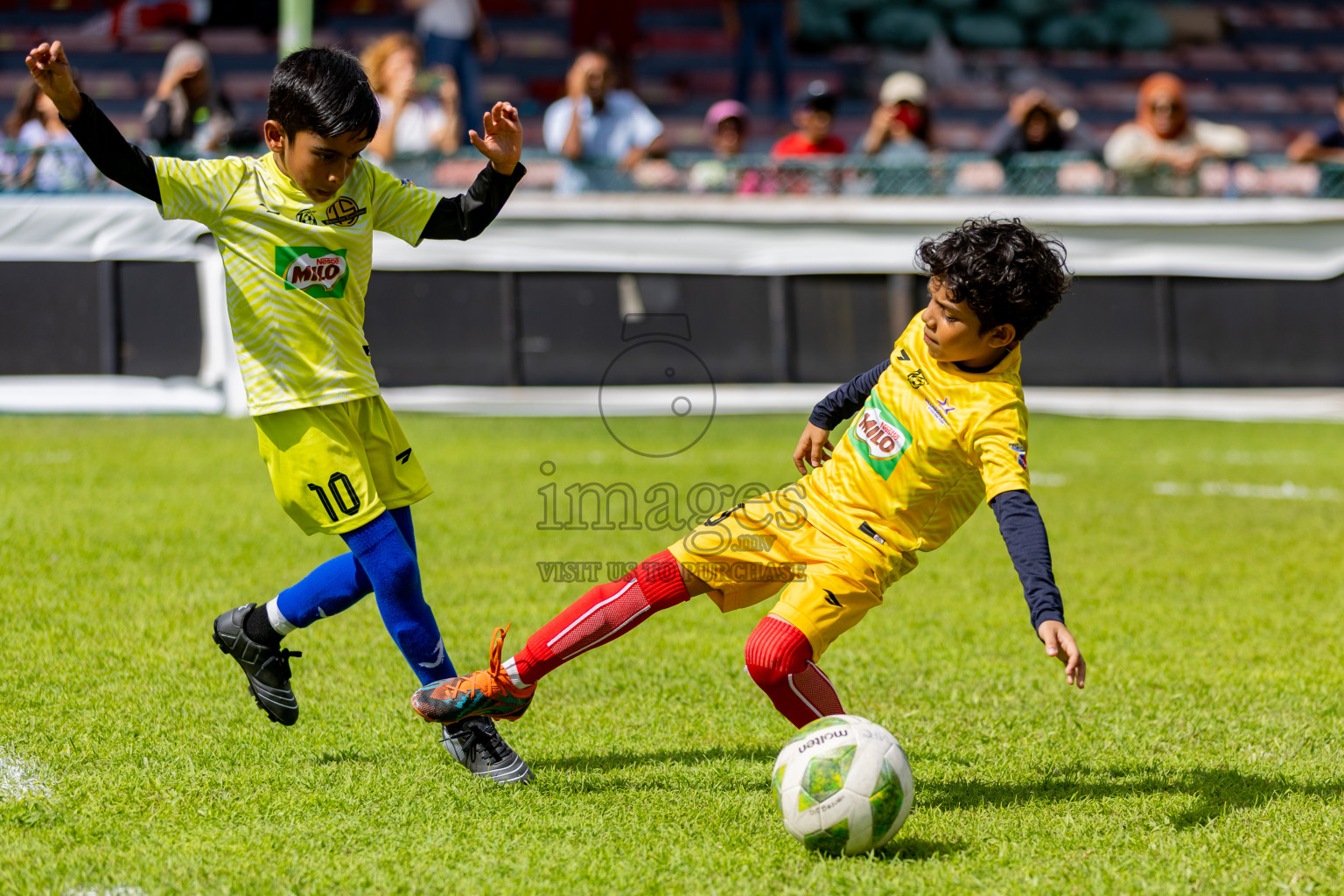 Day 2 of MILO Kids Football Fiesta was held at National Stadium in Male', Maldives on Saturday, 24th February 2024. Photos: Hassan Simah / images.mv