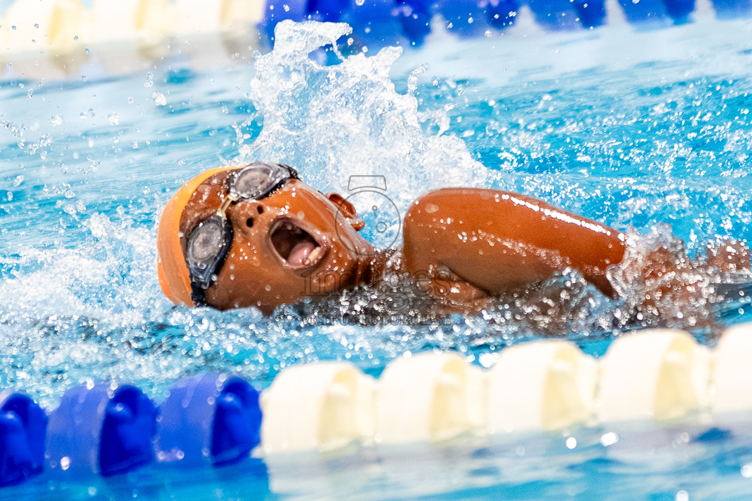 Day 2 of BML 6th National Kids Swimming Kids Festival 2025 held in Hulhumale', Maldives on Tuesday, 4th November 2024. Photos: Mohamed Mahfooz Moosa / images.mv