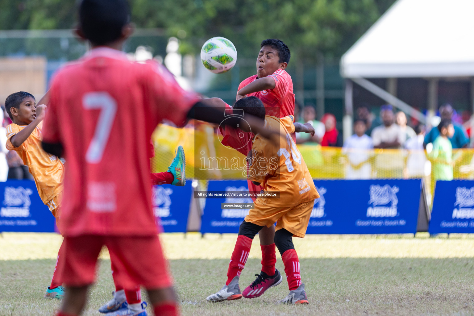 Nestle Kids Football Fiesta 2023 - Day 4
Day 4 of Nestle Kids Football Fiesta, held in Henveyru Football Stadium, Male', Maldives on Saturday, 14th October 2023 Photos: Nausham Waheed / images.mv