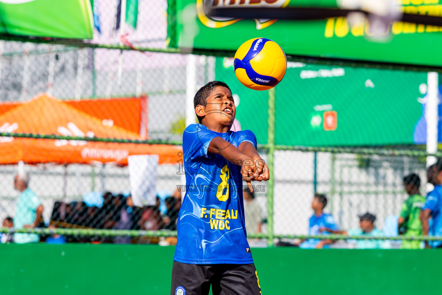 Day 13 of Interschool Volleyball Tournament 2024 was held in Ekuveni Volleyball Court at Male', Maldives on Thursday, 5th December 2024. Photos: Nausham Waheed / images.mv