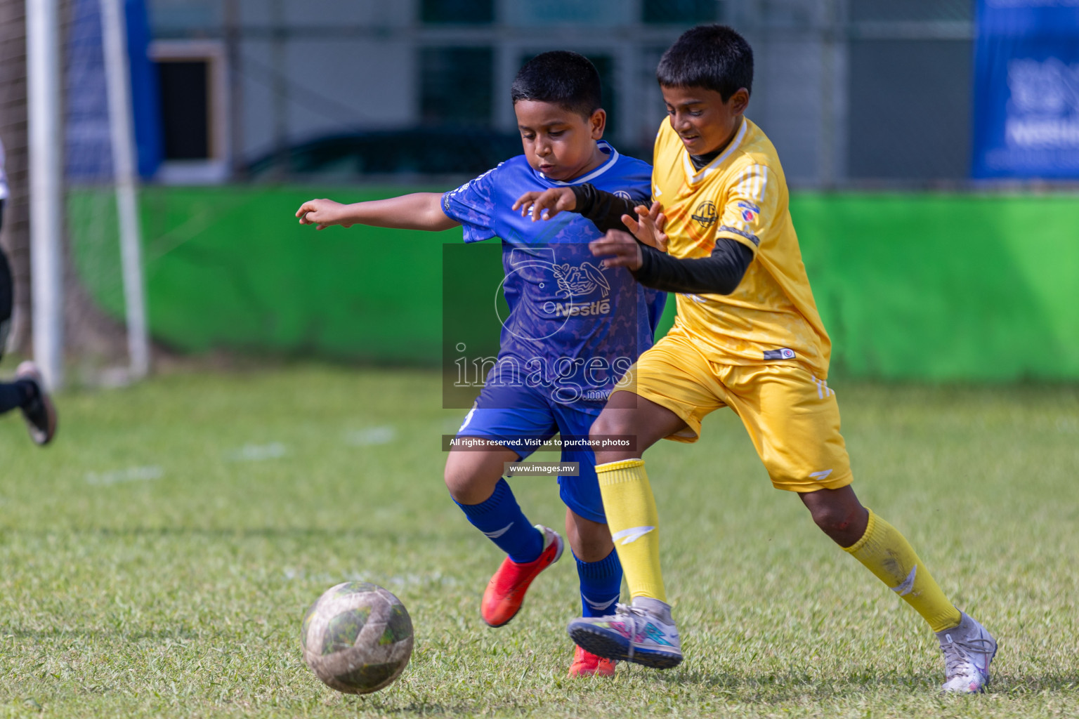 Day 4 of Nestle Kids Football Fiesta, held in Henveyru Football Stadium, Male', Maldives on Saturday, 14th October 2023
Photos: Ismail Thoriq / images.mv