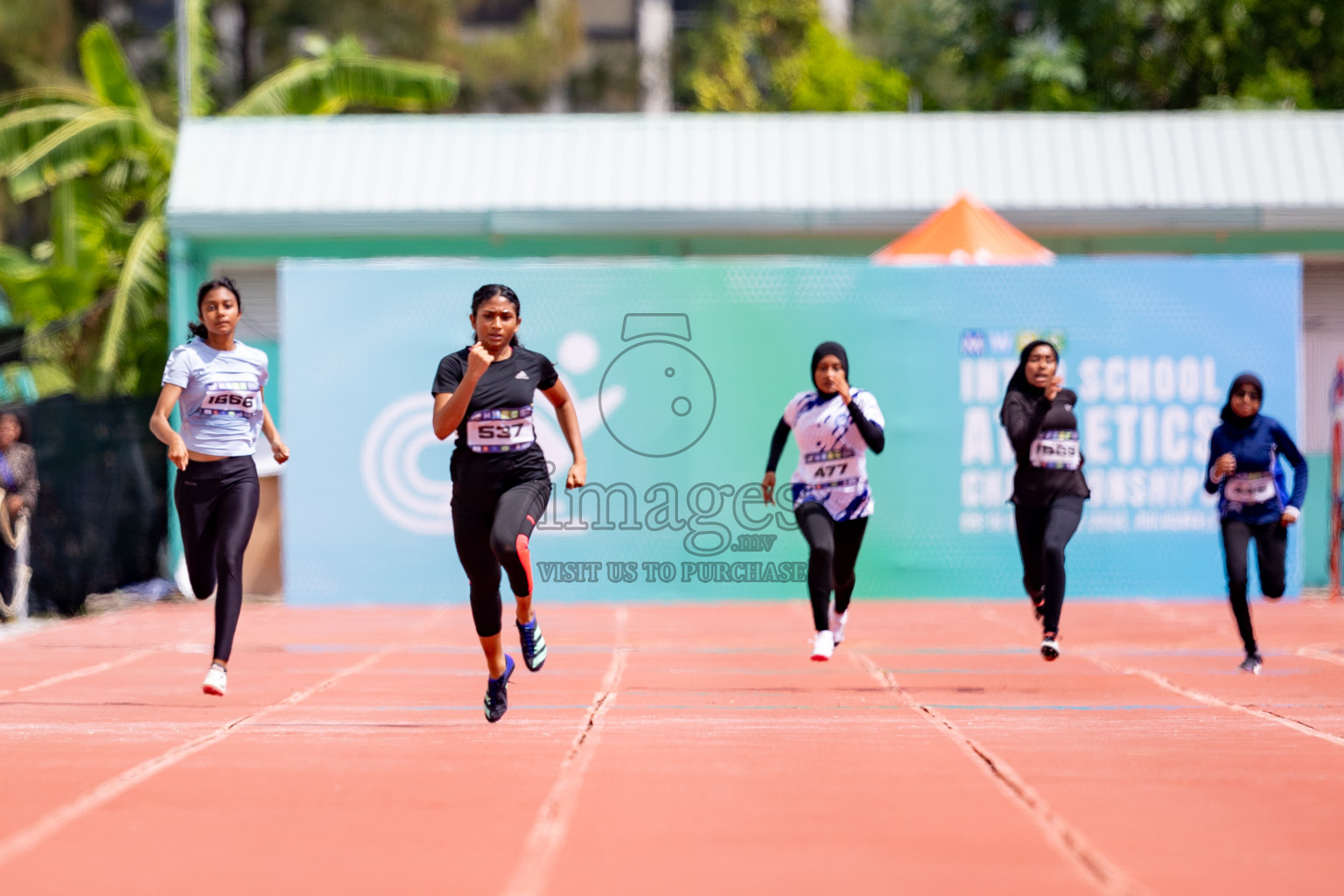 Day 3 of MWSC Interschool Athletics Championships 2024 held in Hulhumale Running Track, Hulhumale, Maldives on Monday, 11th November 2024. 
Photos by: Hassan Simah / Images.mv