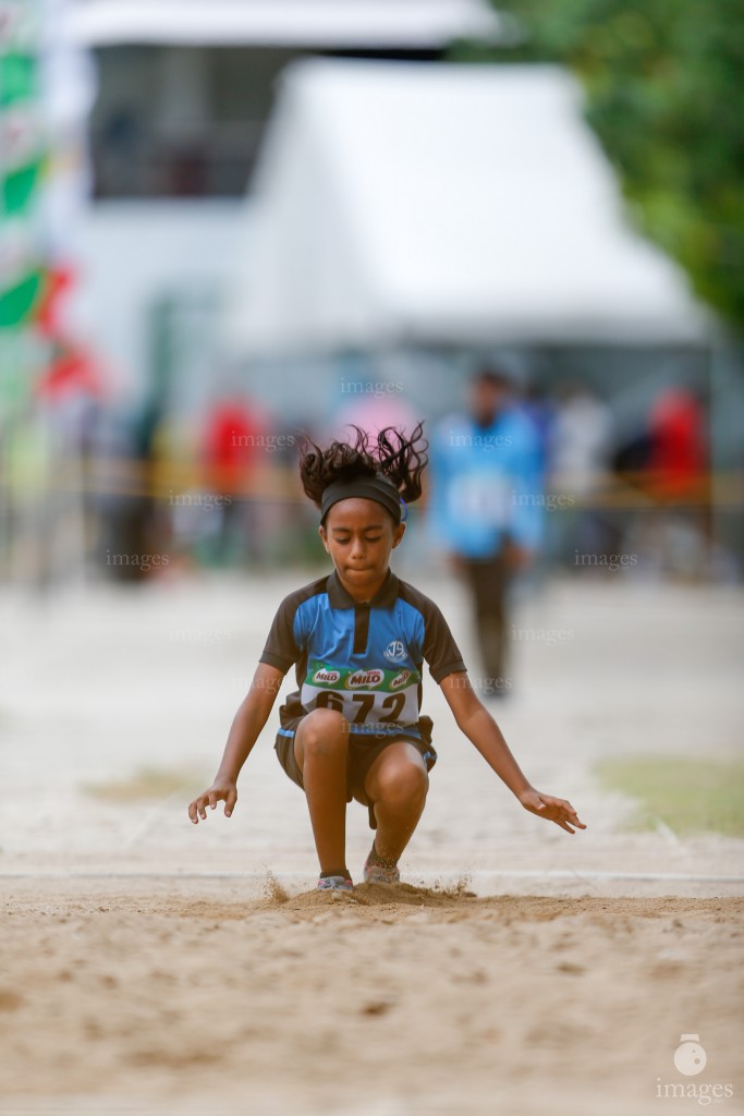Milo Interschool Athletics Tournament Day 3 in Male', Maldives, Sunday, September. 04 , 2016. (Images.mv Photo/ Hussain Sinan).