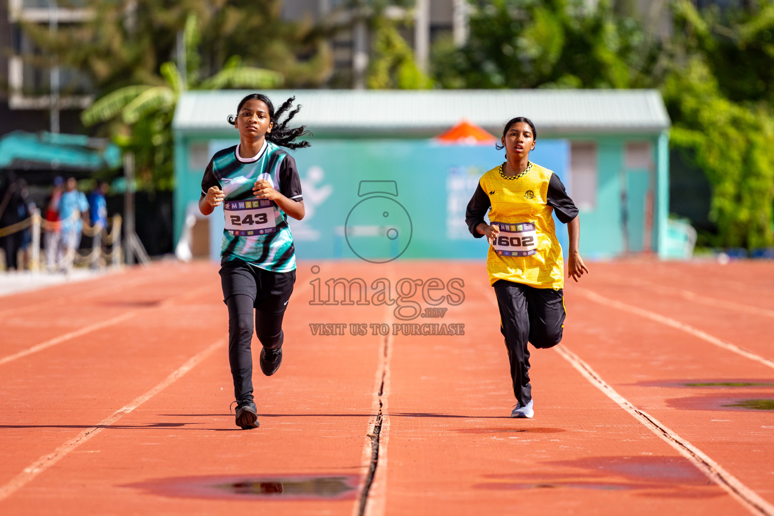 Day 2 of MWSC Interschool Athletics Championships 2024 held in Hulhumale Running Track, Hulhumale, Maldives on Sunday, 10th November 2024. 
Photos by:  Hassan Simah / Images.mv