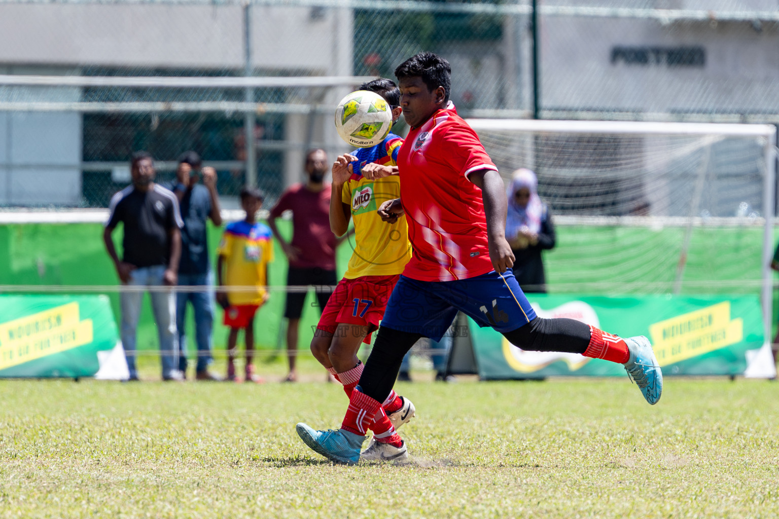 Day 3 of MILO Academy Championship 2024 (U-14) was held in Henveyru Stadium, Male', Maldives on Saturday, 2nd November 2024.
Photos: Hassan Simah / Images.mv