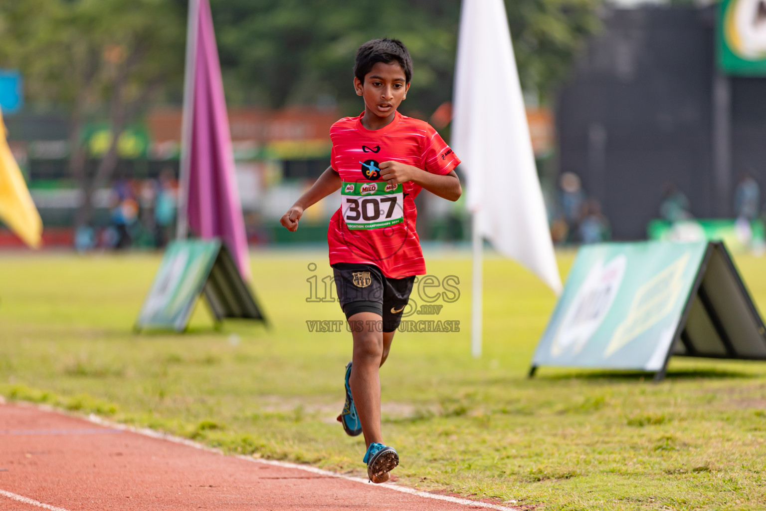 Day 2 of MILO Athletics Association Championship was held on Wednesday, 6th May 2024 in Male', Maldives.