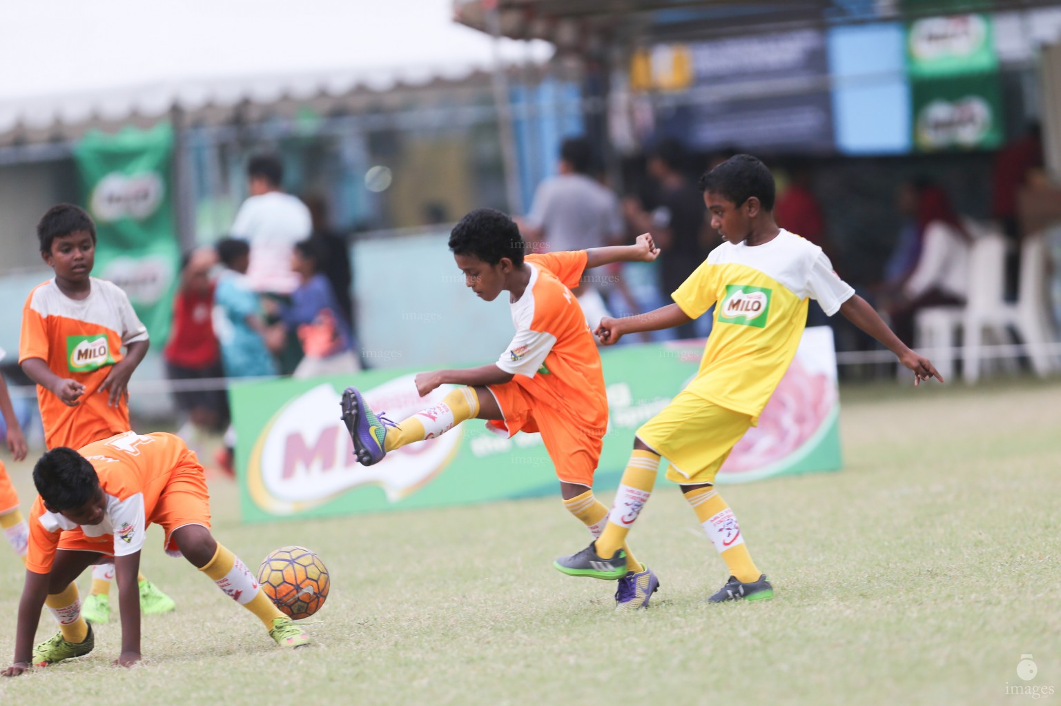 Day 3 of Milo Kids Football Fiesta in Male', Maldives, Friday, February 17, 2017.(Images.mv Photo/ Hussain Sinan).