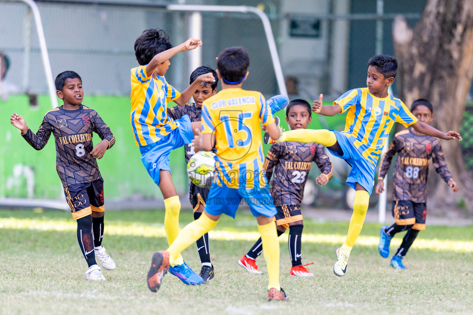 Day 2 of MILO SVAM Juniors 2025 (U-8) was held at Henveiru Stadium in Male', Maldives on Friday, 27th June 2025. 

Photos: Hassan Simah / images.mv