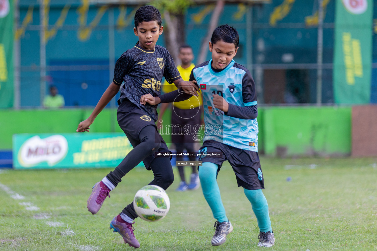 Day 1 of MILO Academy Championship 2023 (U12) was held in Henveiru Football Grounds, Male', Maldives, on Friday, 18th August 2023. 
Photos: Shuu Abdul Sattar / images.mv