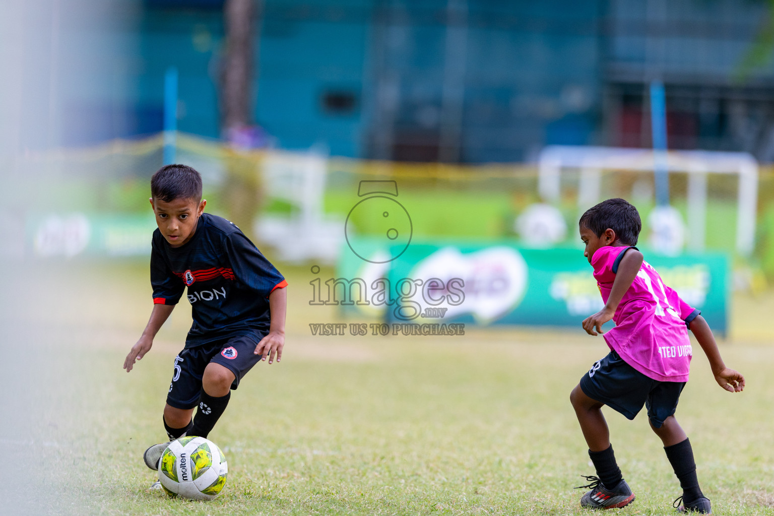 Day 2 of MILO SVAM Juniors 2025 (U-8) was held at Henveiru Stadium in Male', Maldives on Friday, 27th June 2025. 

Photos: Hassan Simah / images.mv