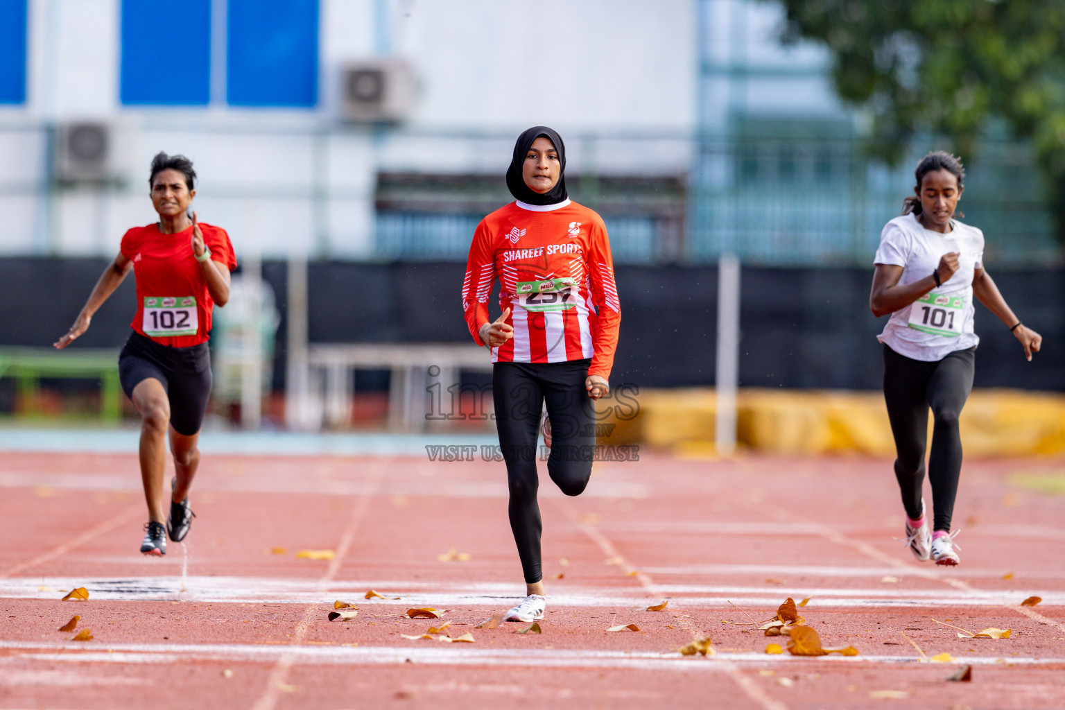 Day 2 of 12th Milo Association Championships was held in Ekuveni Track at Male', Maldives on Friday, 25th April 2025. 
Photos: Hassan Simah / images.mv