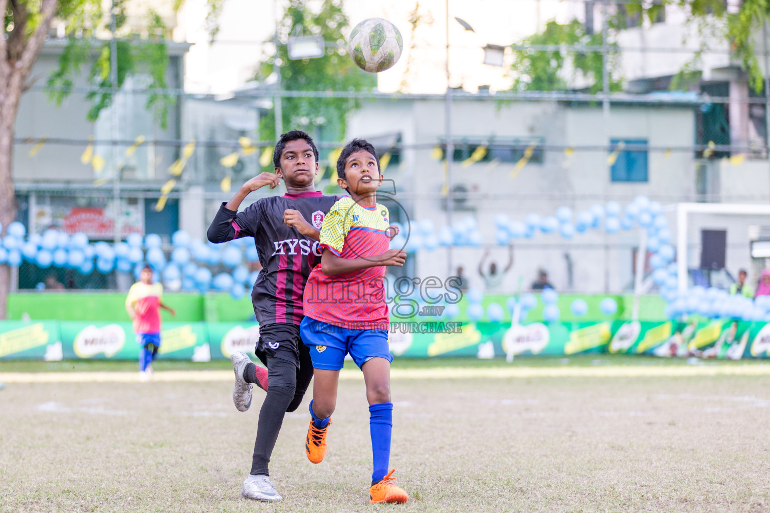 Day 3 of MILO Academy Championship 2024 - U12 was held at Henveiru Grounds in Male', Maldives on Thursday, 7th July 2024. Photos: Shuu Abdul Sattar / images.mv