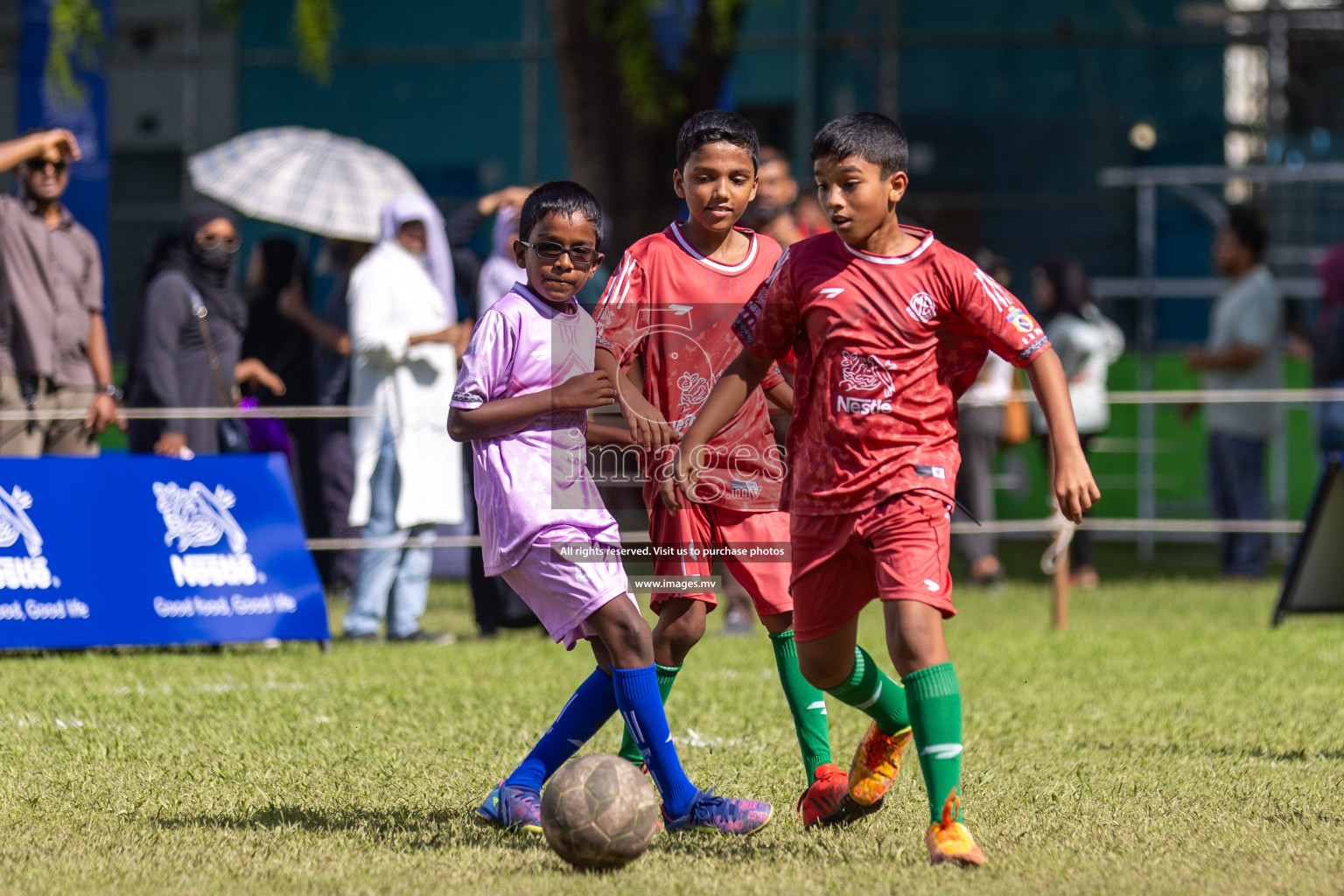 Day 3 of Nestle Kids Football Fiesta, held in Henveyru Football Stadium, Male', Maldives on Friday, 13th October 2023
Photos: Hassan Simah, Ismail Thoriq / images.mv