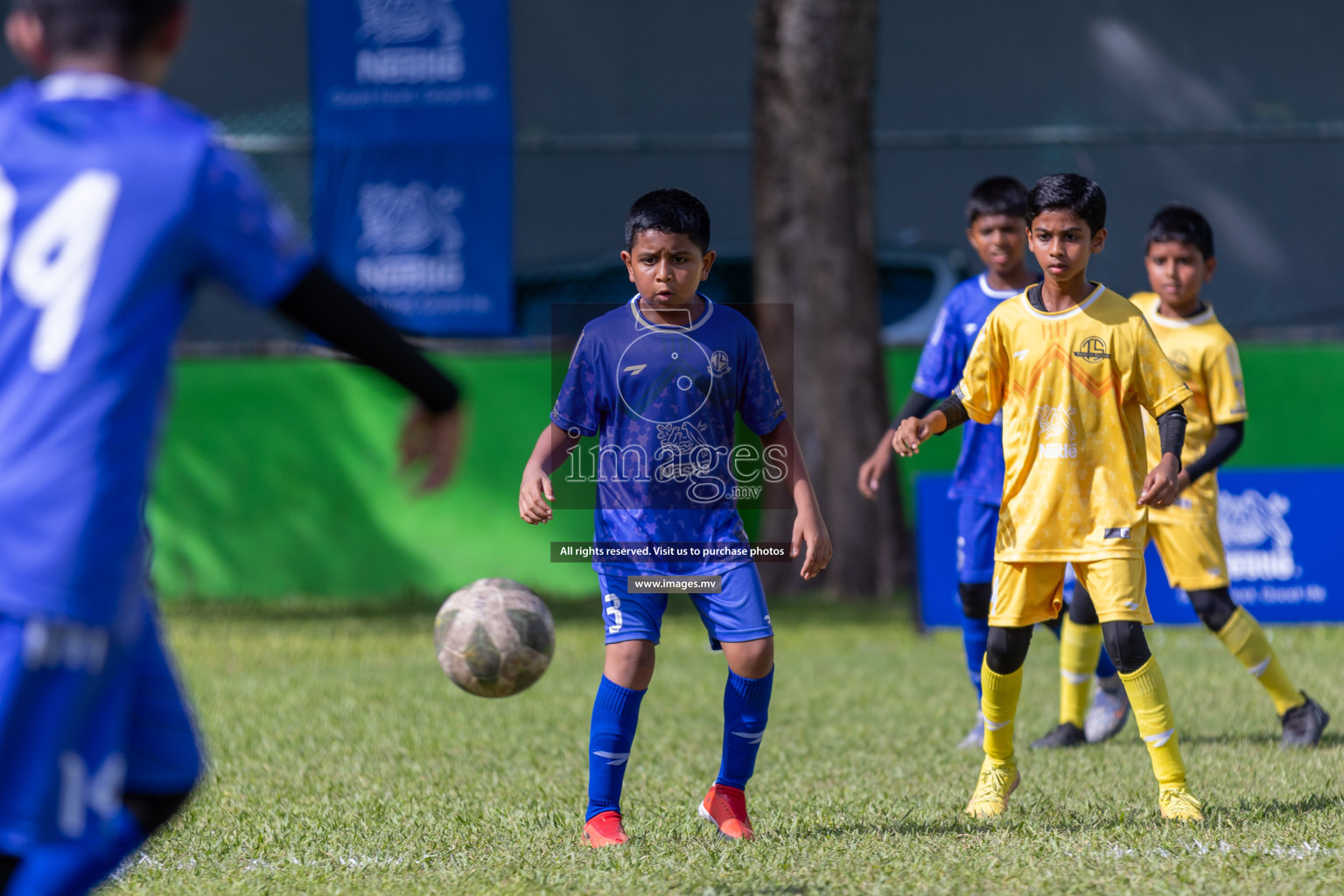 Day 4 of Nestle Kids Football Fiesta, held in Henveyru Football Stadium, Male', Maldives on Saturday, 14th October 2023
Photos: Ismail Thoriq / images.mv