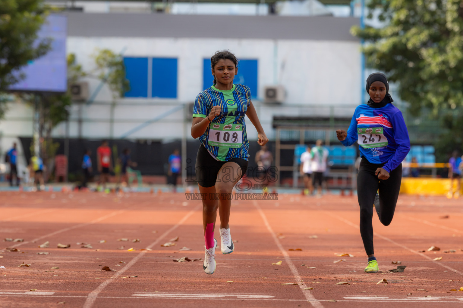 Day 1 of National Athletics Championship 2025 was held at Ekuveni Running Ground in Male', Maldives on Thursday, 14th August 2025. Photos: Hasni / images.mv
