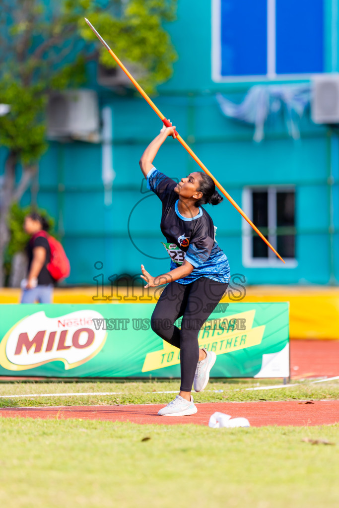 Day 4 of MILO Athletics Association Championship was held on Friday, 8th May 2024 in Male', Maldives. Photos: Nausham Waheed