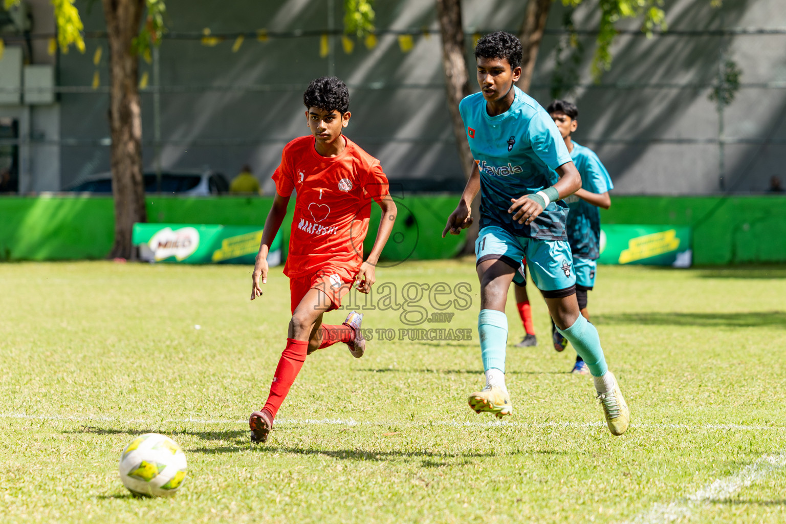 Day 4 of MILO Academy Championship 2024 (U-14) was held in Henveyru Stadium, Male', Maldives on Sunday, 3rd November 2024. 
Photos: Hassan Simah / Images.mv