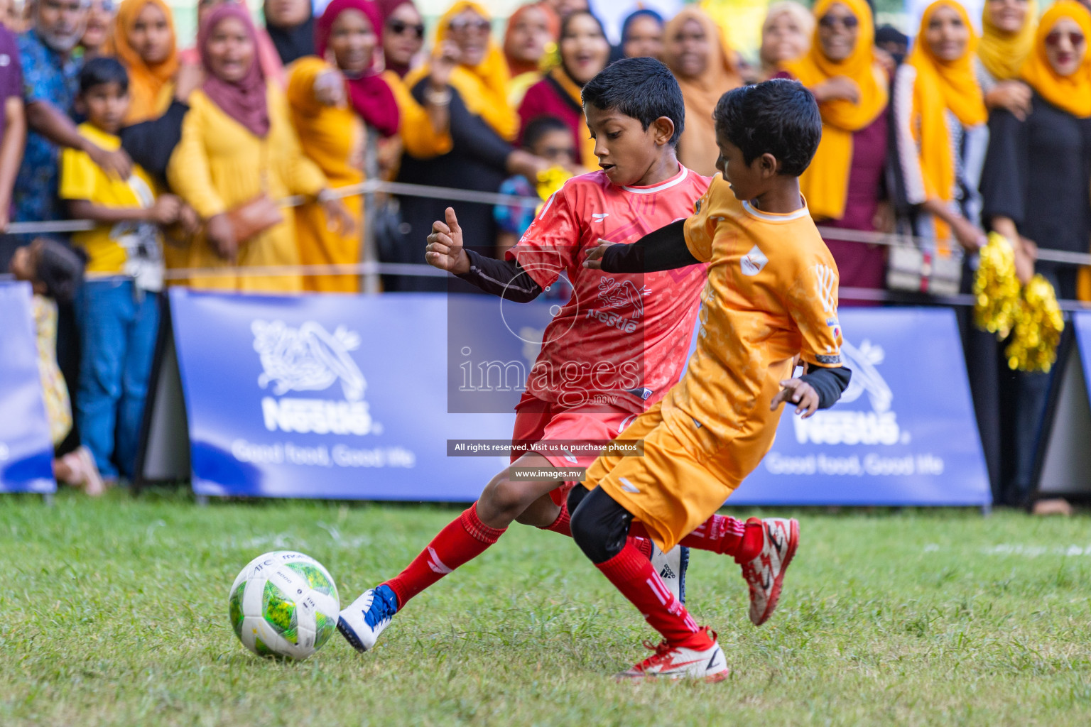 Nestle Kids Football Fiesta 2023 - Day 4
Day 4 of Nestle Kids Football Fiesta, held in Henveyru Football Stadium, Male', Maldives on Saturday, 14th October 2023 Photos: Nausham Waheed / images.mv