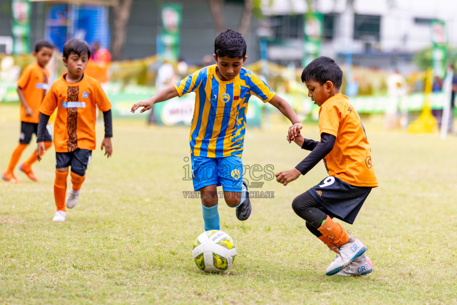 Day 1 of MILO SVAM Juniors 2025 (U-8) was held at Henveiru Stadium in Male', Maldives on Thursday, 26th June 2025. 
Photos: Hassan Simah / images.mv
