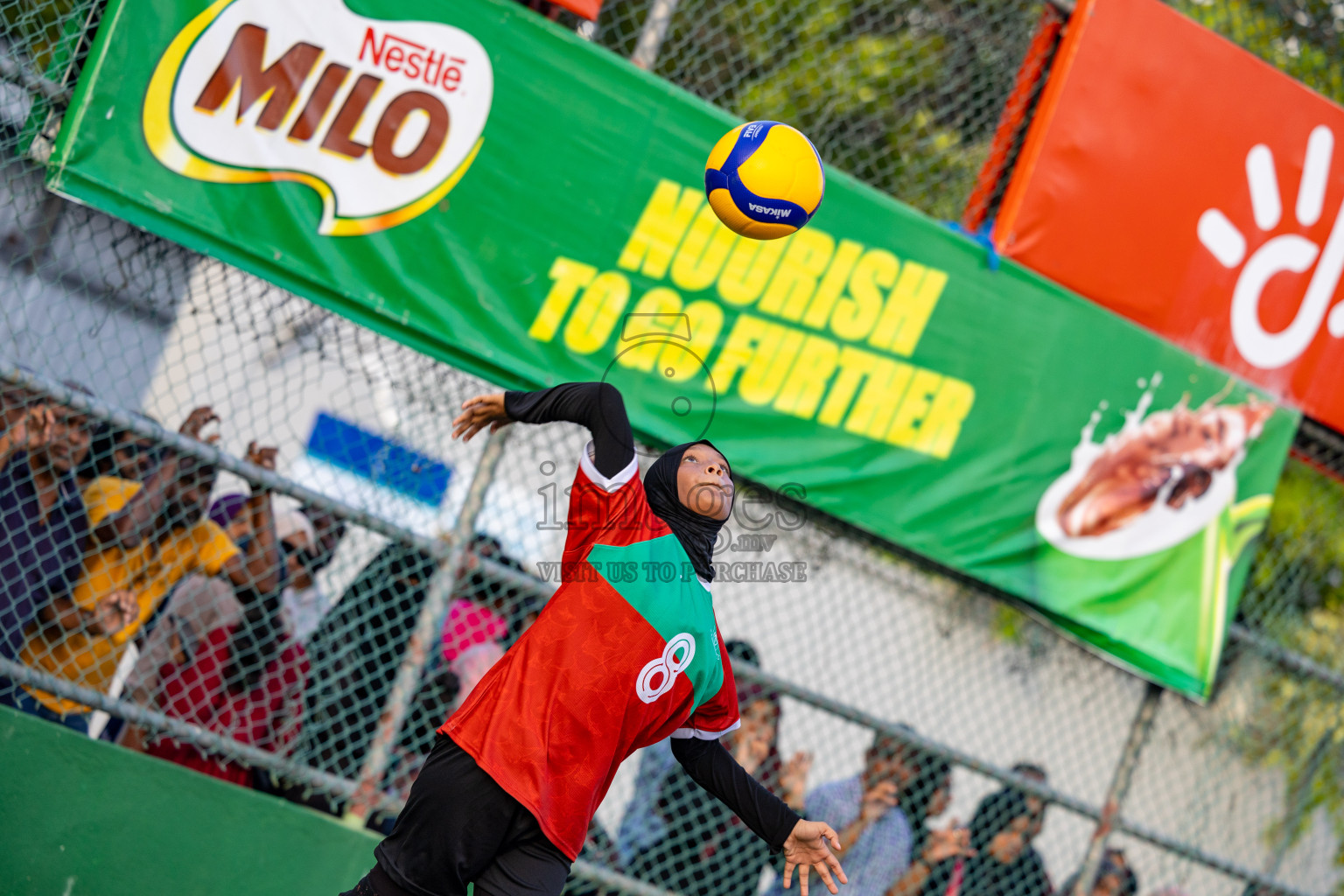 Day 6 of Interschool Volleyball Tournament 2024 was held in Ekuveni Volleyball Court at Male', Maldives on Thursday, 28th November 2024.
Photos: Ismail Thoriq / images.mv