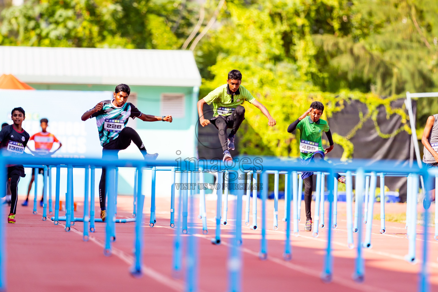 Day 4 of MWSC Interschool Athletics Championships 2024 held in Hulhumale Running Track, Hulhumale, Maldives on Tuesday, 12th November 2024. Photos by: Nausham Waheed / Images.mv