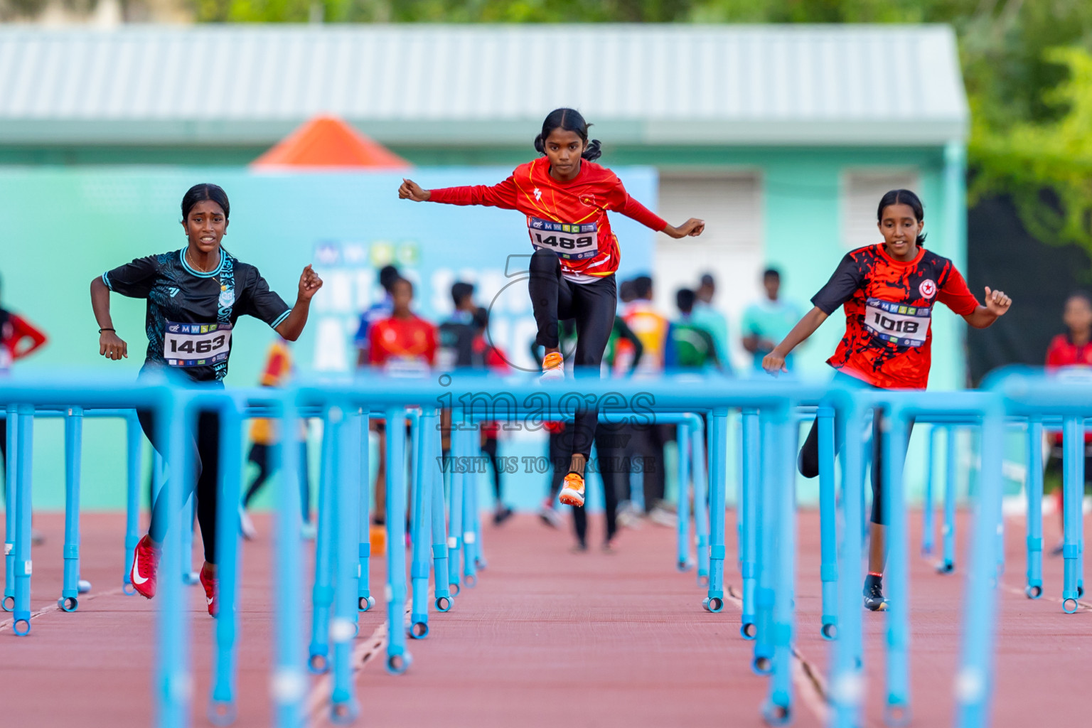 Day 4 of MWSC Interschool Athletics Championships 2024 held in Hulhumale Running Track, Hulhumale, Maldives on Tuesday, 12th November 2024. Photos by: Nausham Waheed / Images.mv