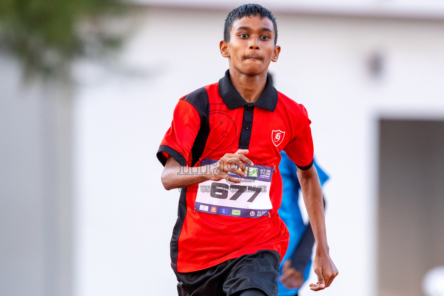 Day 1 of MWSC Interschool Athletics Championships 2024 held in Hulhumale Running Track, Hulhumale, Maldives on Saturday, 9th November 2024. Photos by: Ismail Thoriq / Images.mv