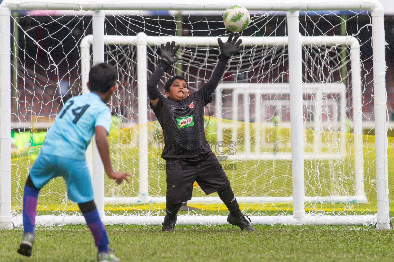 Day 2 of MILO Kids Football Fiesta was held at National Stadium in Male', Maldives on Saturday, 24th February 2024.