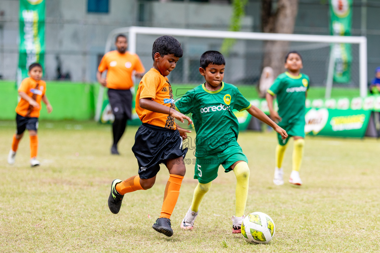 Day 1 of MILO SVAM Juniors 2025 (U-8) was held at Henveiru Stadium in Male', Maldives on Thursday, 26th June 2025. 
Photos: Hassan Simah / images.mv