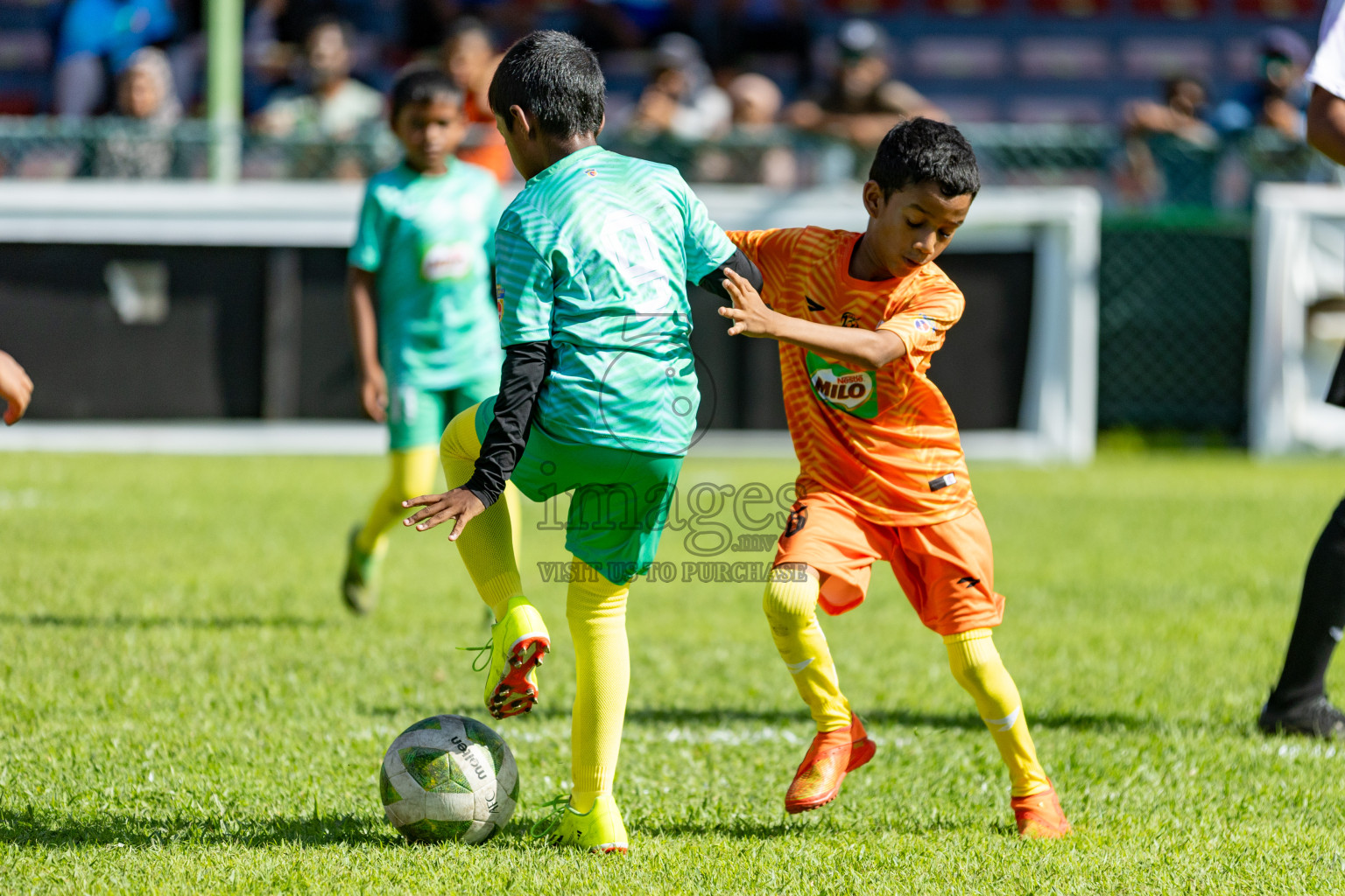 Day 1 of MILO Kids Football Fiesta was held at National Stadium in Male', Maldives on Friday, 23rd February 2024. 
Photos: Hassan Simah / images.mv