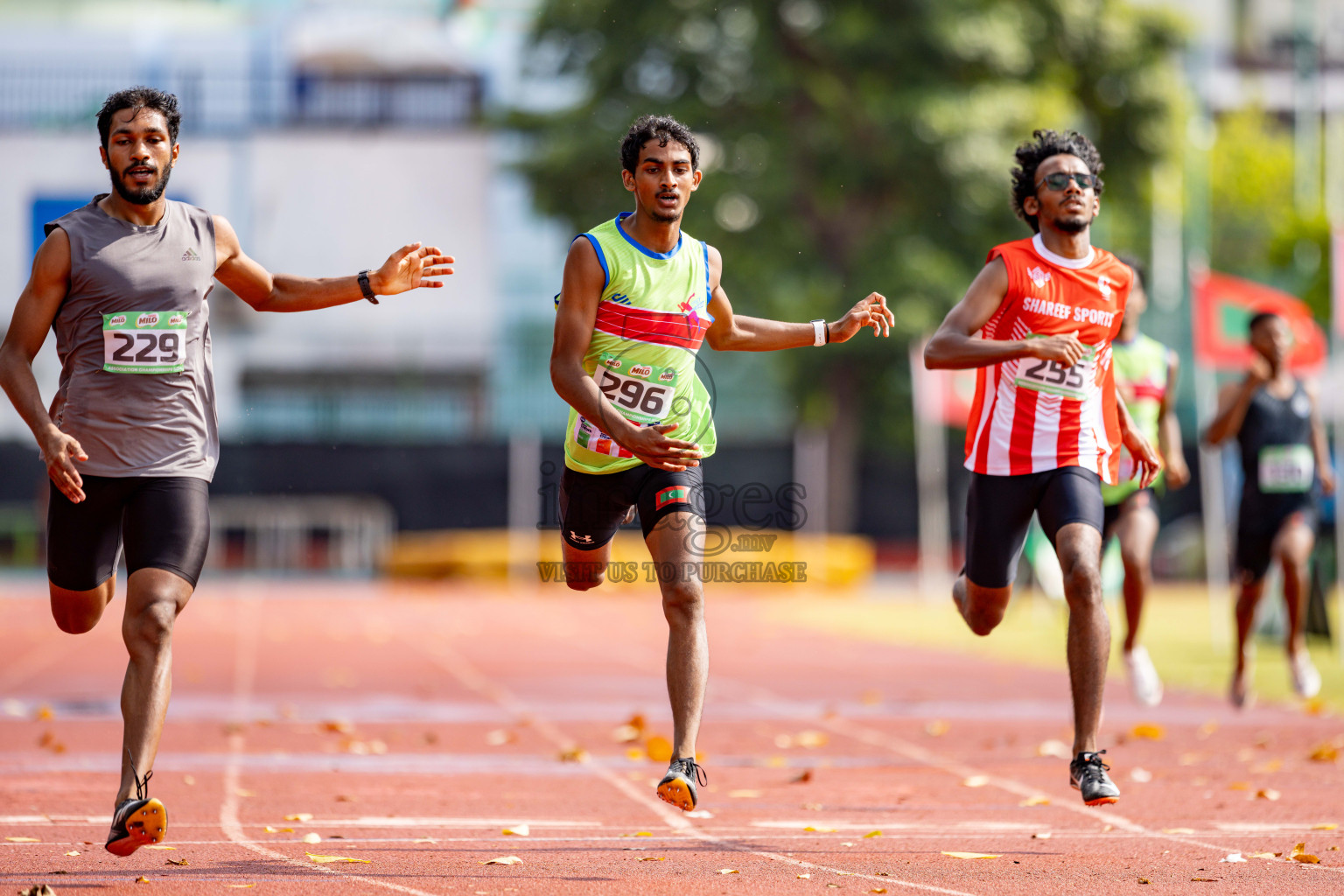 Day 2 of 12th Milo Association Championships was held in Ekuveni Track at Male', Maldives on Friday, 25th April 2025. 
Photos: Hassan Simah / images.mv