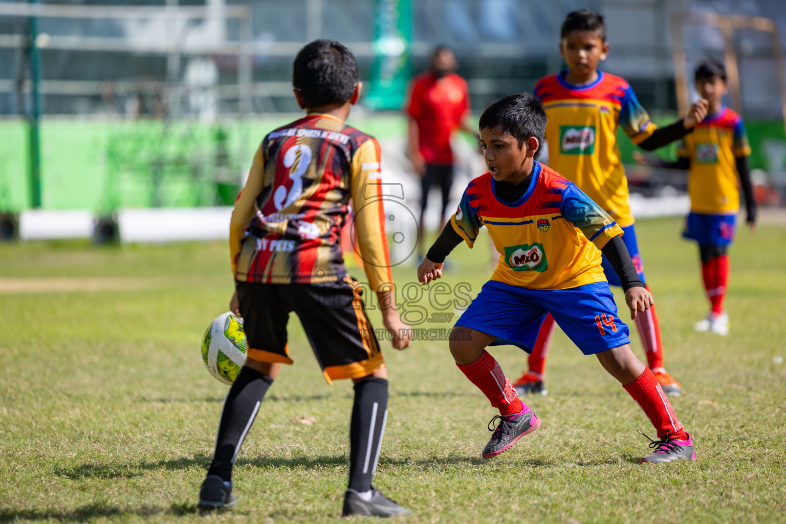 Day 2 of MILO Academy Championship 2025 was held on Friday, 14th February 2025 in Henveiru Stadium. 
Photos: Hassan Simah / Images.mv