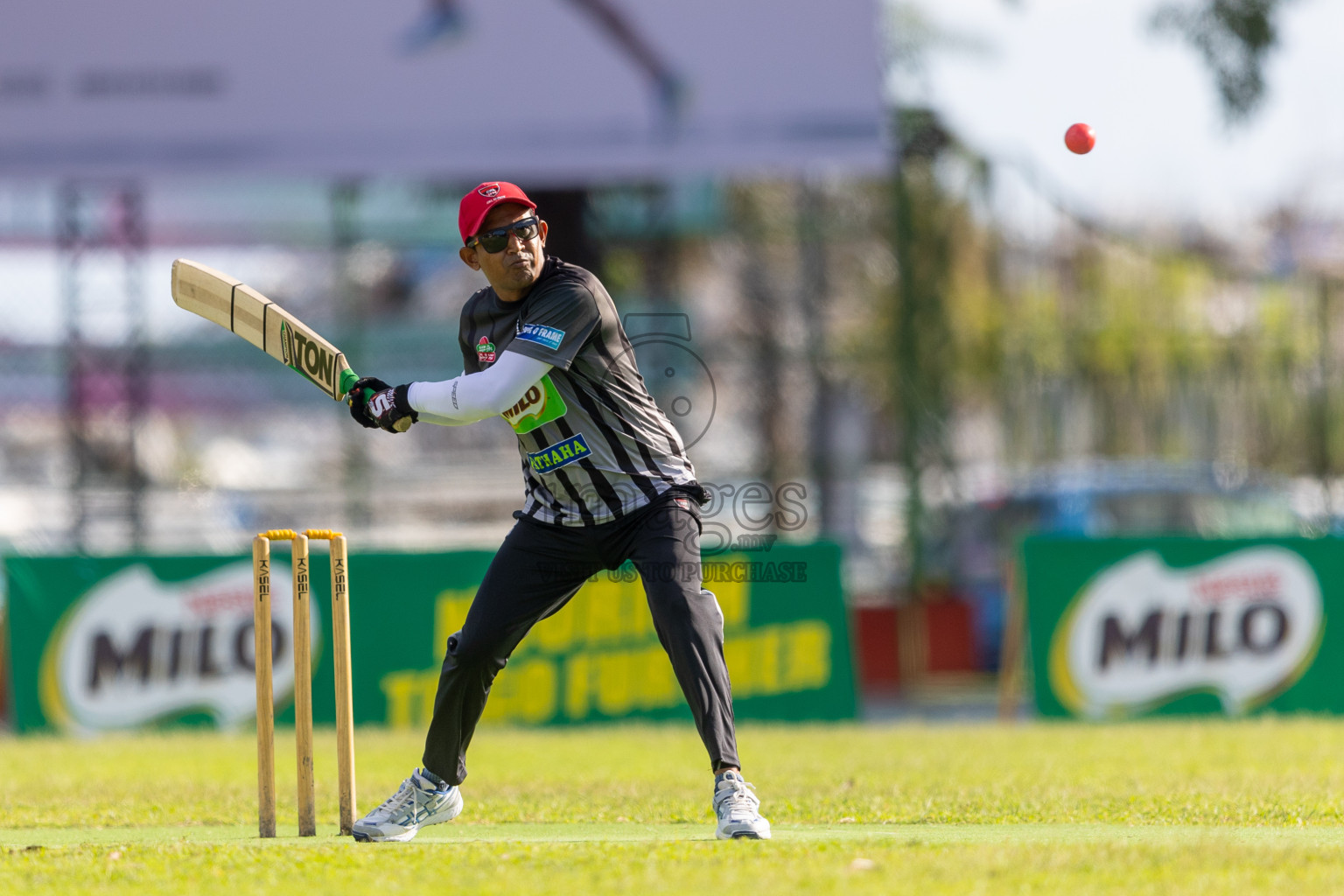 Semi Finals of Ramadan Cricket Carnival (Company Tournament) was held at Ekuveni Grounds on Monday, 8th April 2024. 
Photos: Ismail Thoriq / images.mv