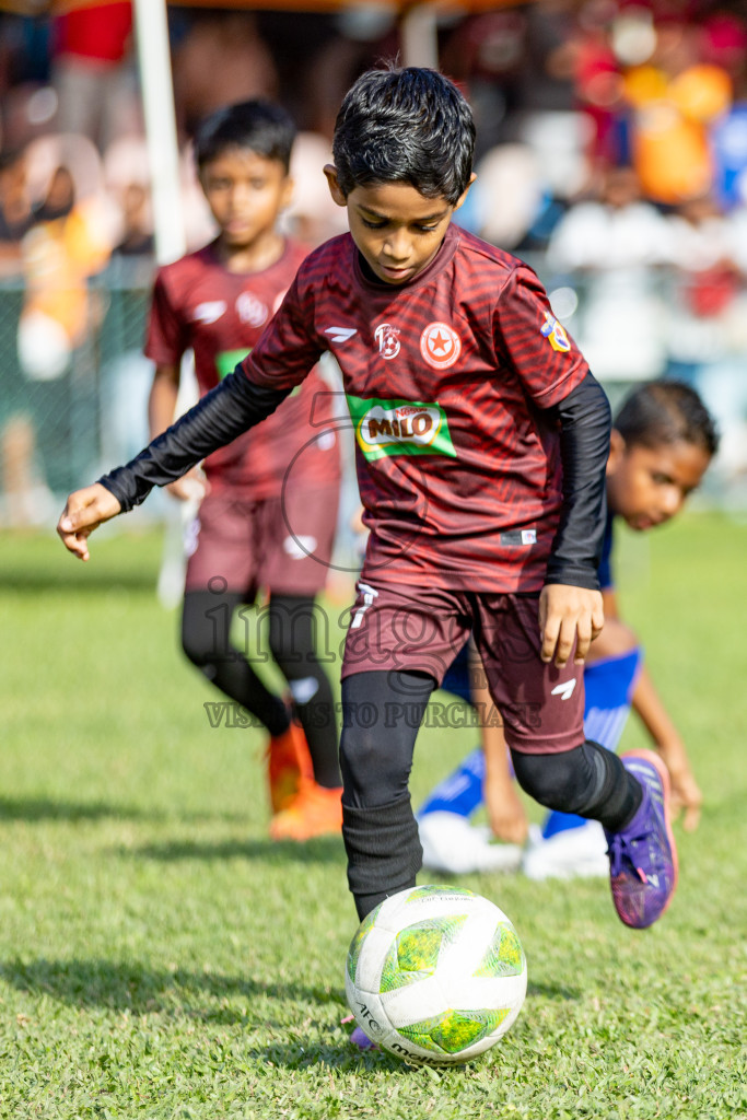 Day 1 of MILO Kids Football Fiesta was held at National Stadium in Male', Maldives on Friday, 23rd February 2024. 
Photos: Hassan Simah / images.mv